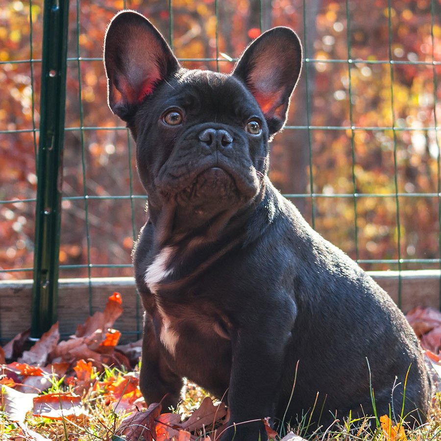 aaron-bookout-3NJ_LjXXqsM-unsplash