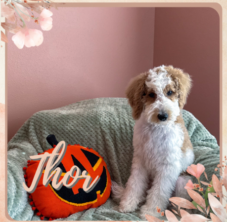 Peach and Neutral Watercolor Floral Blank Notes A5 Document (1080 x 1080 px).zip - Sky