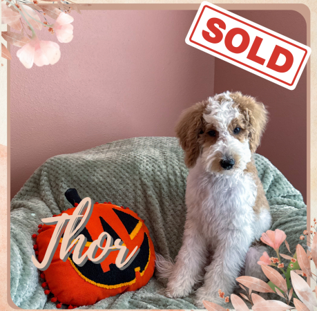 Peach and Neutral Watercolor Floral Blank Notes A5 Document (1080 x 1080 px).zip - Sky