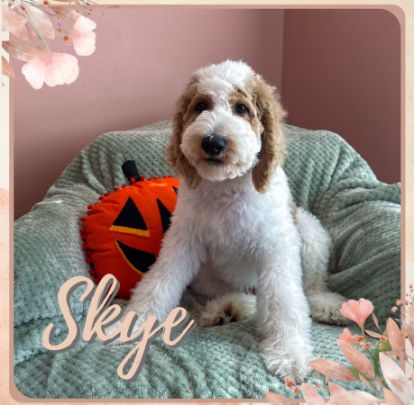 Peach and Neutral Watercolor Floral Blank Notes A5 Document (1080 x 1080 px).zip - Thor